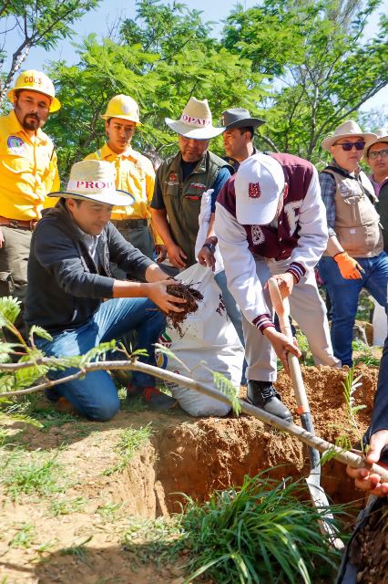 Participa Silva Romo en 1ª Jornada de Reforestación del Parque Estatal “Cerro del Fortín”.- clamorsocial.com