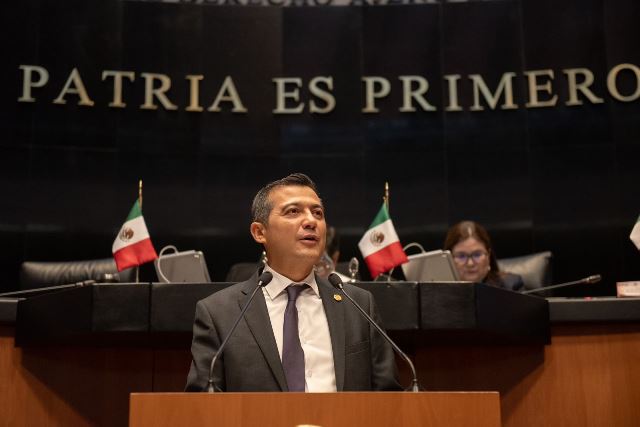 Desde el Sur estamos transformando la historia de nuestro país y de Oaxaca: Silva Romo