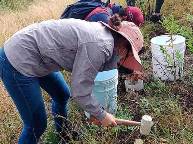 Los suelos con manejo agroecológico preservan la diversidad genética de bacterias