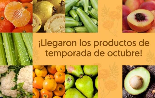 ¿Cuál es tu favorita?