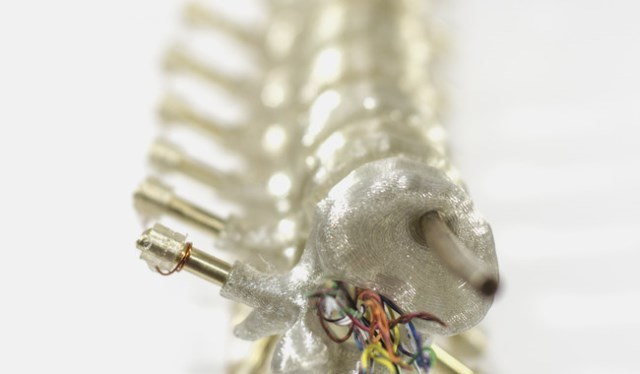 Desde sus inicios, su obra se ha caracterizado por el uso de tecnologías y materiales que replantean la relación entre las creaciones humanas y la naturaleza. Foto Cortesía.