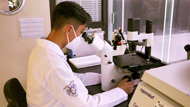 Concretar la transferencia tecnológica, desafío de la propiedad intelectual