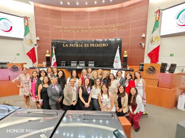 ASOCIACIÓN DE MUJERES ADUANERAS PROPONE UNA REFORMA INTEGRAL PARA MODERNIZAR LAS ADUANAS MEXICANAS Y FORTALECER LAS FRONTERAS INTELIGENTES.- CLAMORSOCIAL.COM