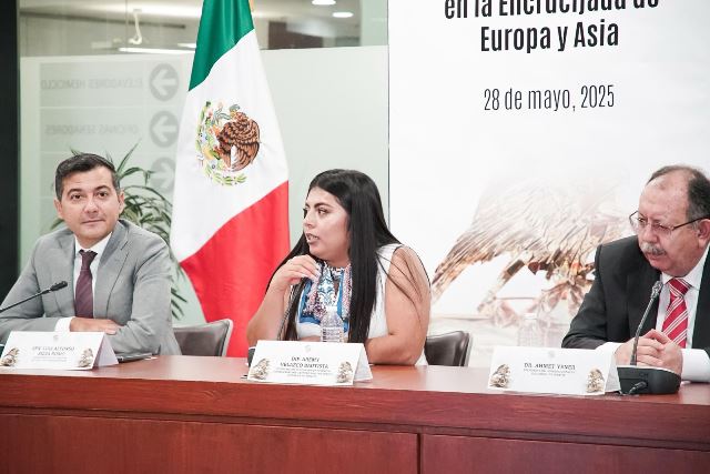 Fortalece Senado Mexicano lazos institucionales y parlamentarios con Turquía.- clamorsocial.com