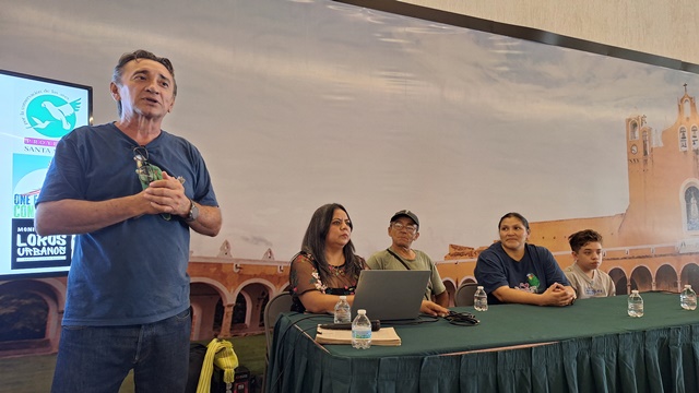 MONITOREO CIUDADANO DETECTA SIETE ESPECIES DE LOROS URBANOS EN MÉRIDA.-clamorsocial.com