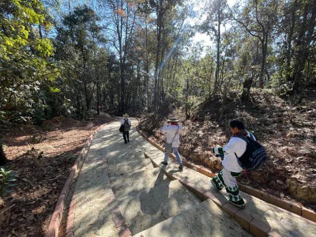 Anuncia Jara que cobró en el sendero de Benito Juárez es ilegal.- CLAMORSOCIAL.COM