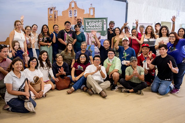 MONITOREO CIUDADANO DETECTA SIETE ESPECIES DE LOROS URBANOS EN MÉRIDA.-clamorsocial.com
