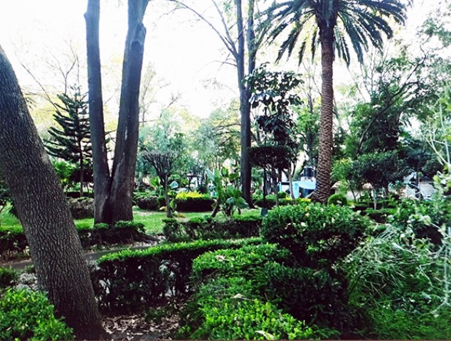 Cuantifican parques y jardines de la CDMX, del siglo XVI a nuestros días