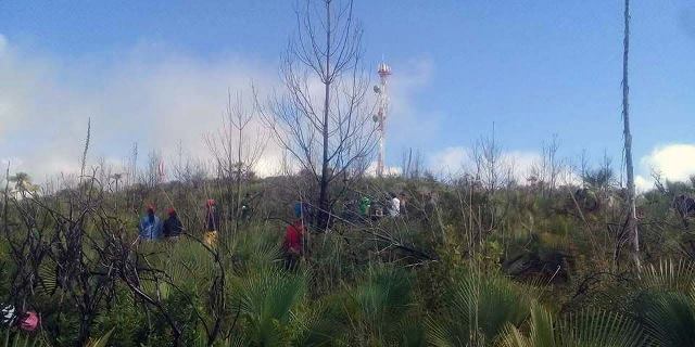 Hallan a dos cuerpos sin vida en carretera Huajuapan-Acatlán a la altura de Zapotitlán Palmas
