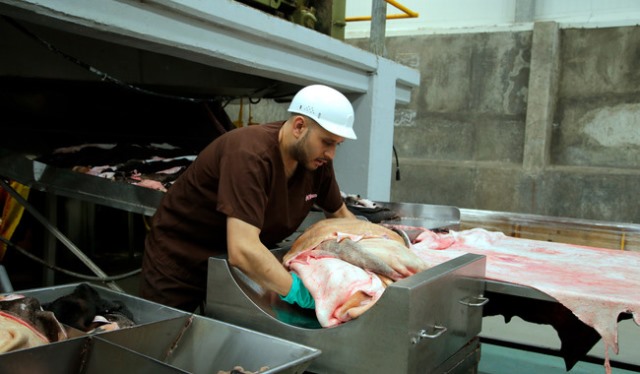Las agencias sanitarias de ambos países acordaron organizar talleres regionales sobre Buenas Prácticas de Manufactura