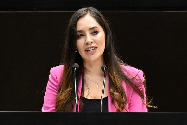Impulsan iniciativa para crear un Padrón Nacional de Personas Sancionadas por Violencia contra los Animales