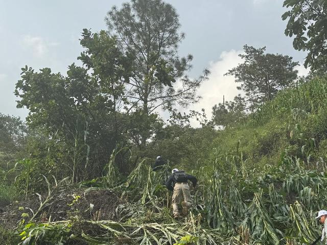 FGEO fortalece operativo interinstitucional para localizar a una persona en Santiago Amoltepec.-clamorsocial.com