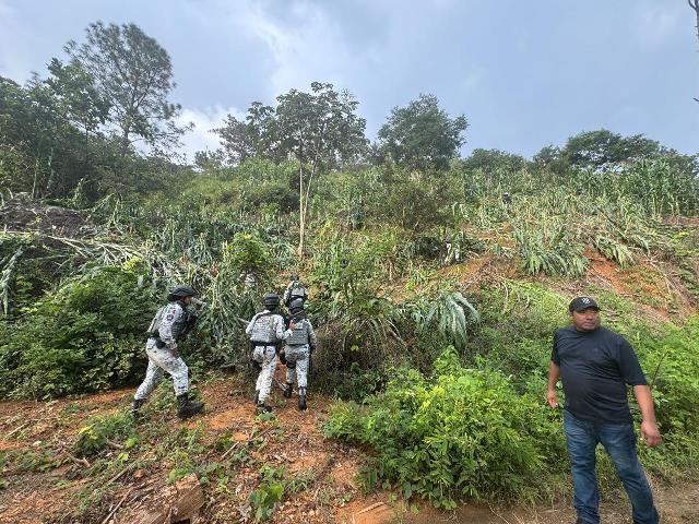 FGEO fortalece operativo interinstitucional para localizar a una persona en Santiago Amoltepec.-clamorsocial.com