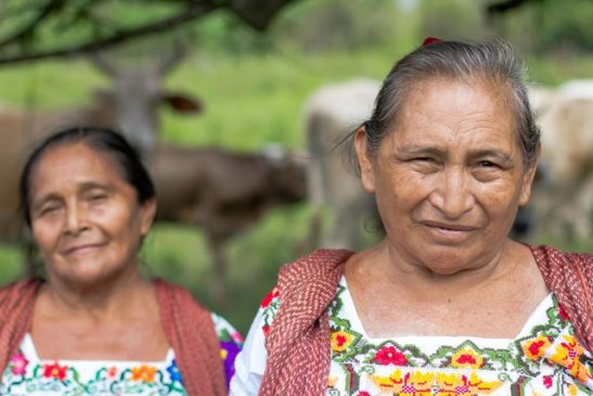 Mujeres rurales, fuertes y empoderadas, alimentan al pueblo México Fuente: Secretaría de Agricultura de México