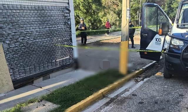 Cabeza de cerdo genera movilización policiaca en la capital.- clamorsocial.com