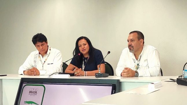 Omar Guadarrama Cedillo y Guadalupe Sánchez Gama, presidente y secretaria general de la Fundación Desarrollo Sustentable y Cambio Climático presentaron el proyecto junto con el secretario de Medio Ambiente del Gobierno de Michoacán, Alejandro Méndez López.