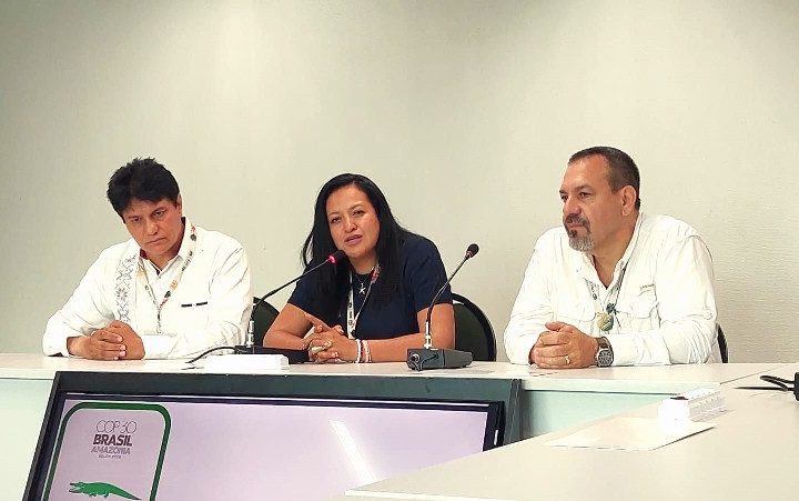 Omar Guadarrama Cedillo y Guadalupe Sánchez Gama, presidente y secretaria general de la Fundación Desarrollo Sustentable y Cambio Climático presentaron el proyecto junto con el secretario de Medio Ambiente del Gobierno de Michoacán, Alejandro Méndez López.