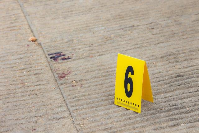 Fiscalía de Oaxaca investiga muerte de un perro tras agresión con cuchillo en San Martín Mexicapan; identifican al probable agresor, es vecino de la zona