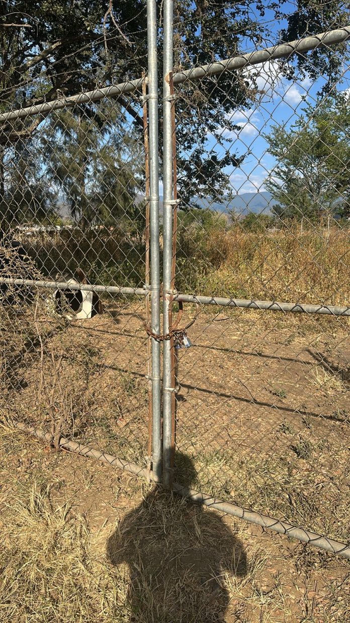 Fiscalía de Oaxaca amplía investigación por posible maltrato animal en predio de Tlalixtac; unidad especializada realiza diligencias