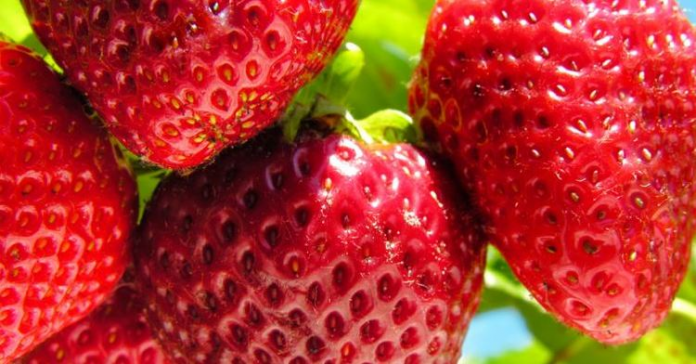 La papaya, fresa y naranja son algunas frutas imprescindibles